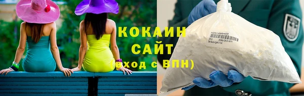 сатива Новокубанск