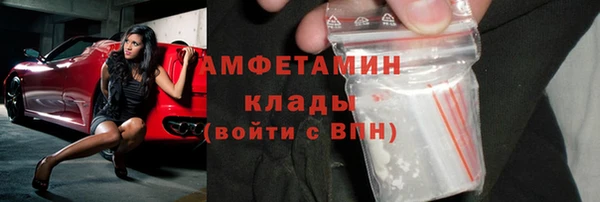 сатива Новокубанск