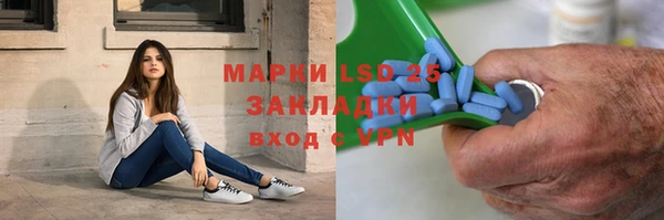 сатива Новокубанск