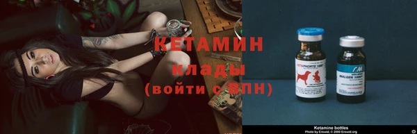сатива Новокубанск