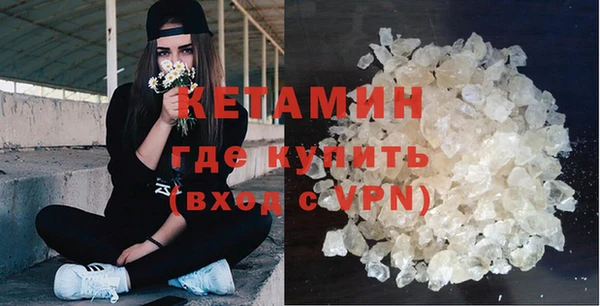 сатива Новокубанск