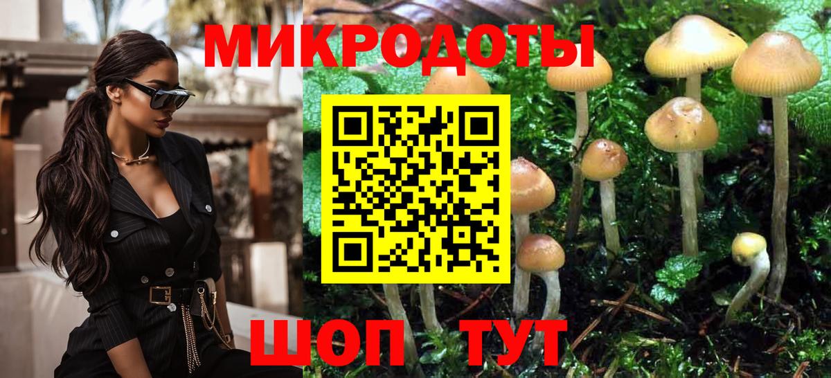Псилоцибиновые грибы мицелий  Вход с VPN  Северск 