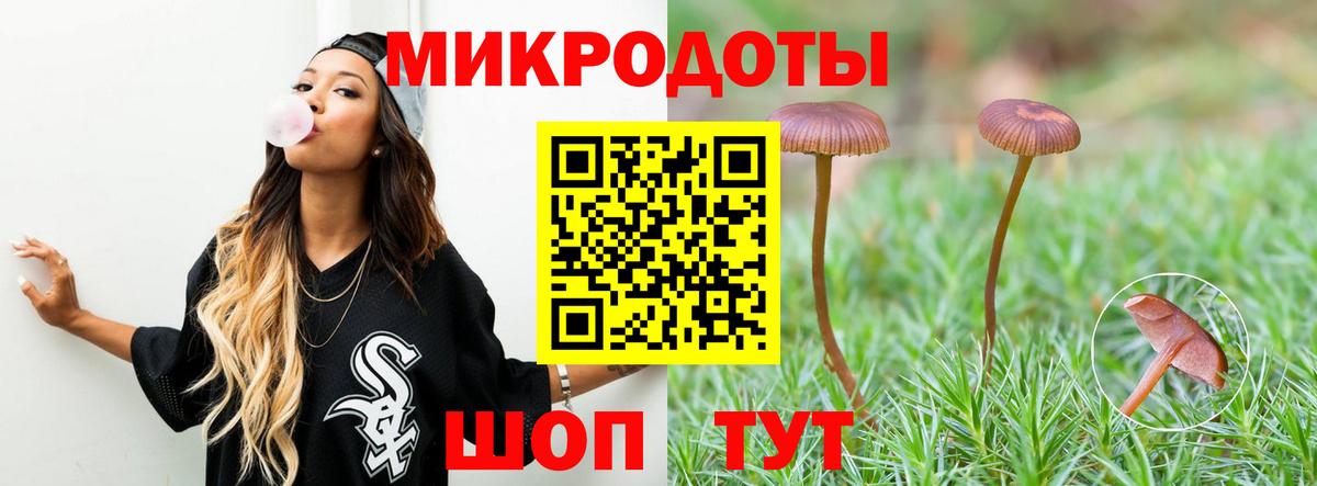 Галлюциногенные грибы Cubensis Северск