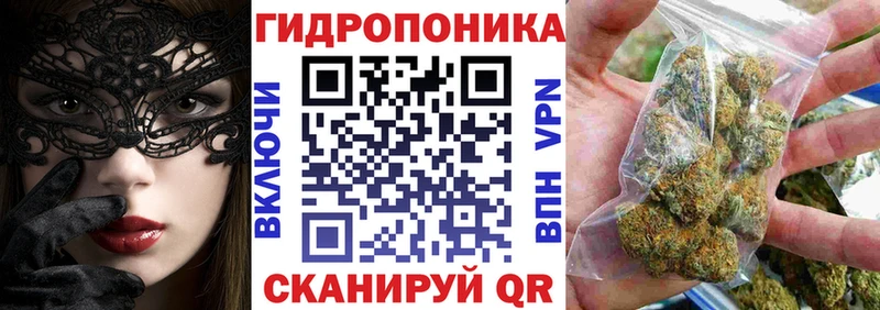 Каннабис OG Kush  ссылка на мегу маркетплейс  Северск 